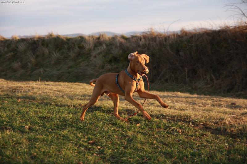 Foto: Danny alias Barbucha :o)