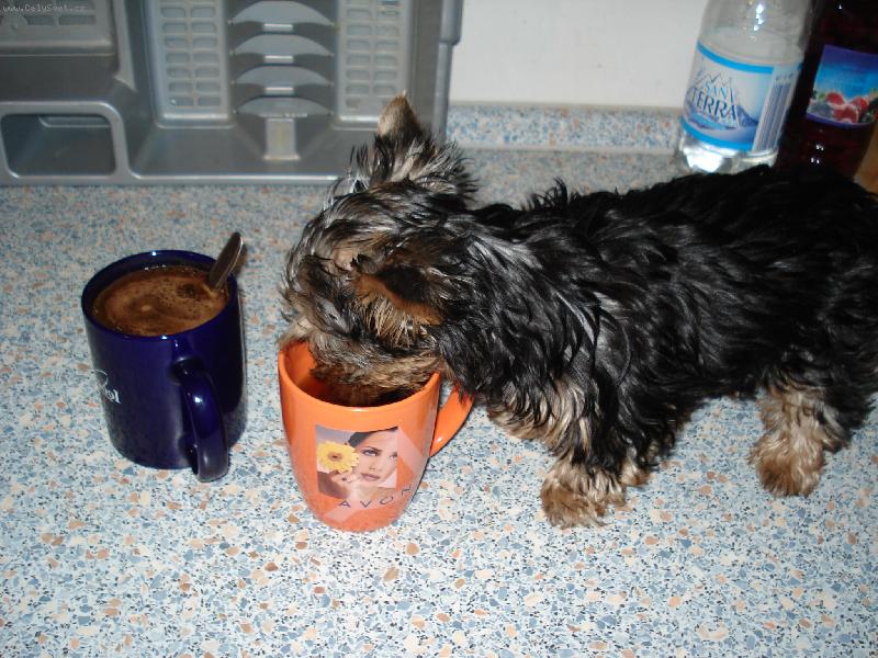 Foto: ��ze�-Pit�