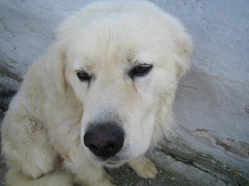 Foto: slovensk� �uva�