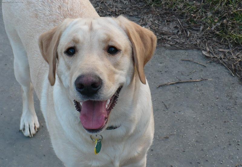 Foto: Mil��ek :)