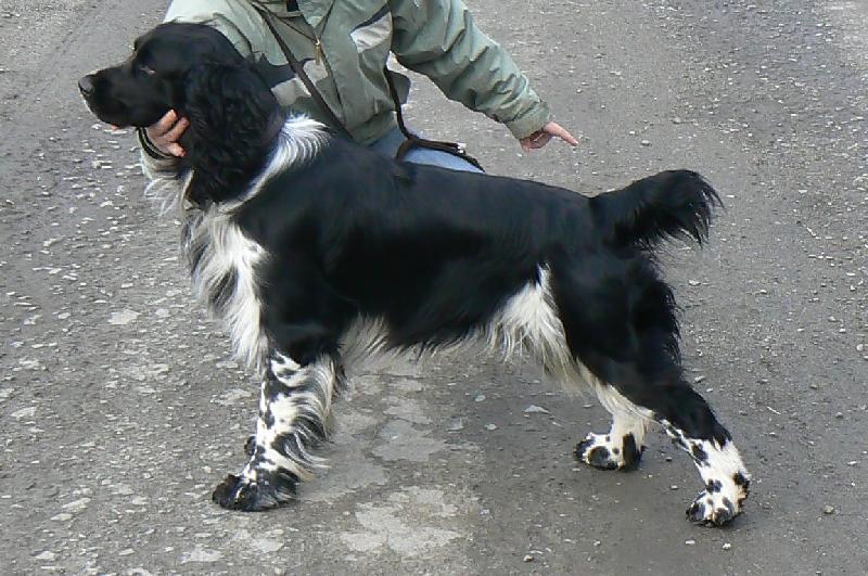 Foto: Benjamin od Kamenn� b�by