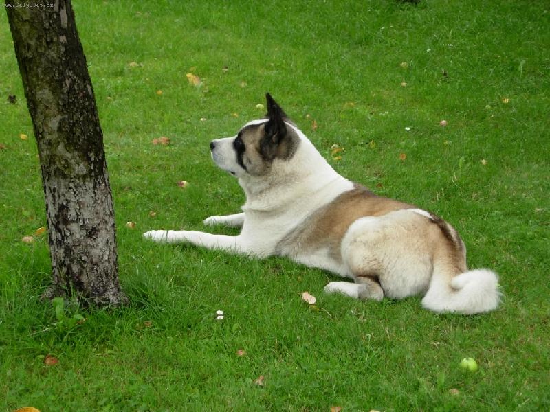 Foto: ARPO-R�d odpo��v�m