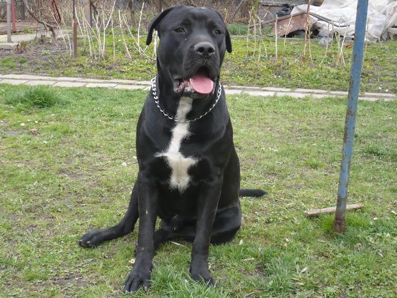 Foto: Ares Natalis-11.m�s�c�