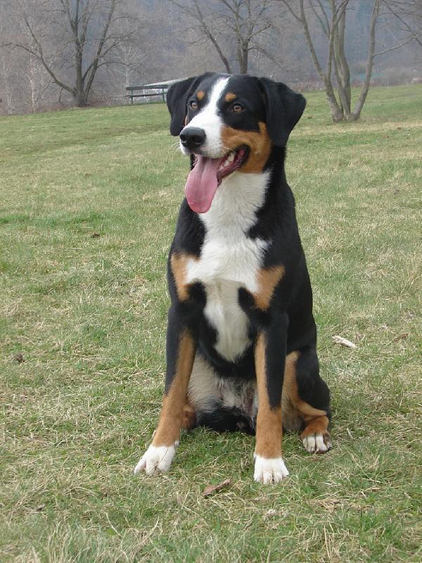 Foto: Abora z Velk�ho �jezda-alias Bonny