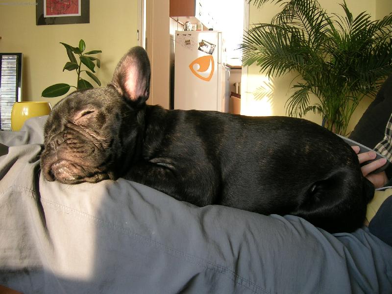 Foto: Jazz-moje neobl�ben�j�� spac� poloha