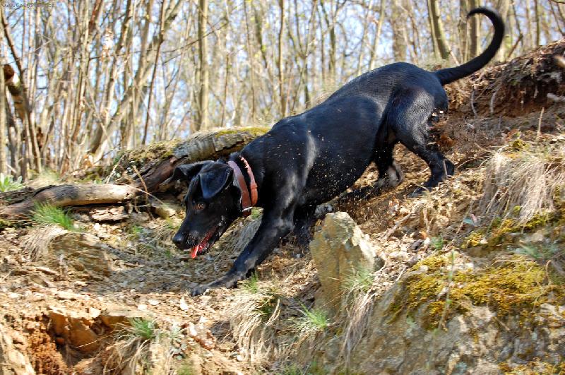 Foto: K nezastaven�