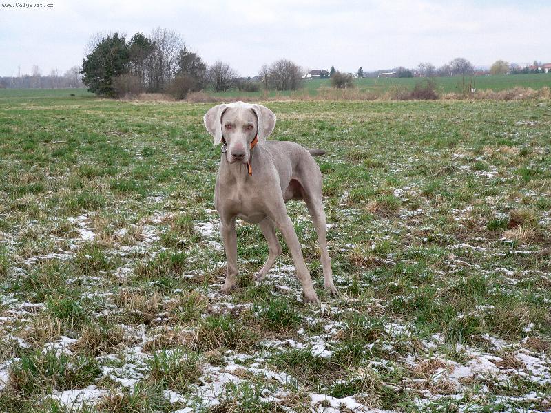 Foto: V�marsk� oha�