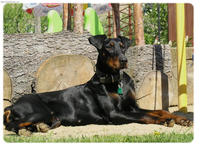 Foto: Kone�n� slun��ko