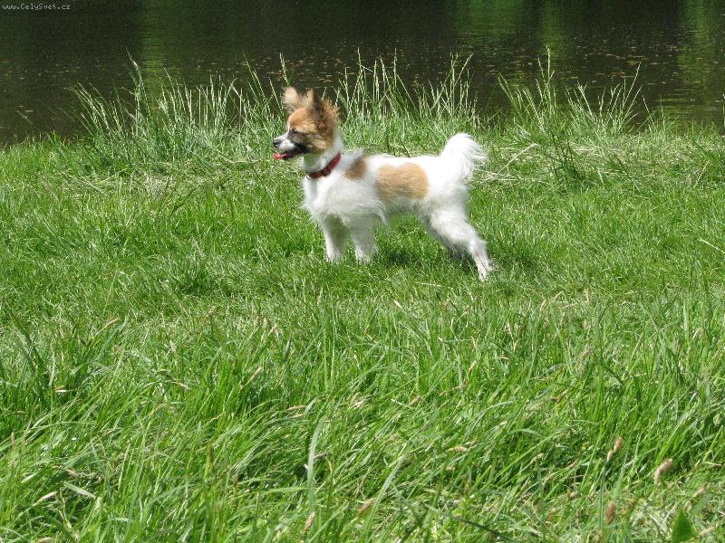 Foto: Barbie-Barbinka na v�let�