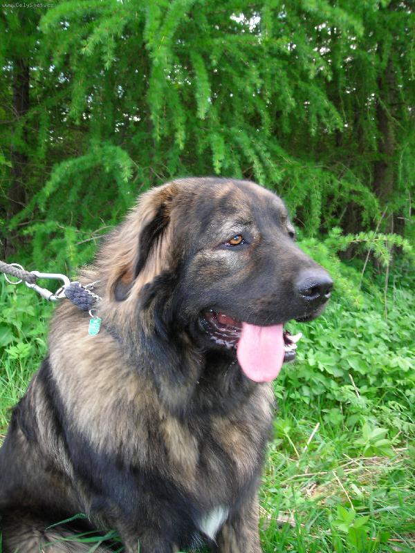 Foto: Ba�a na proch�zce-U lesa