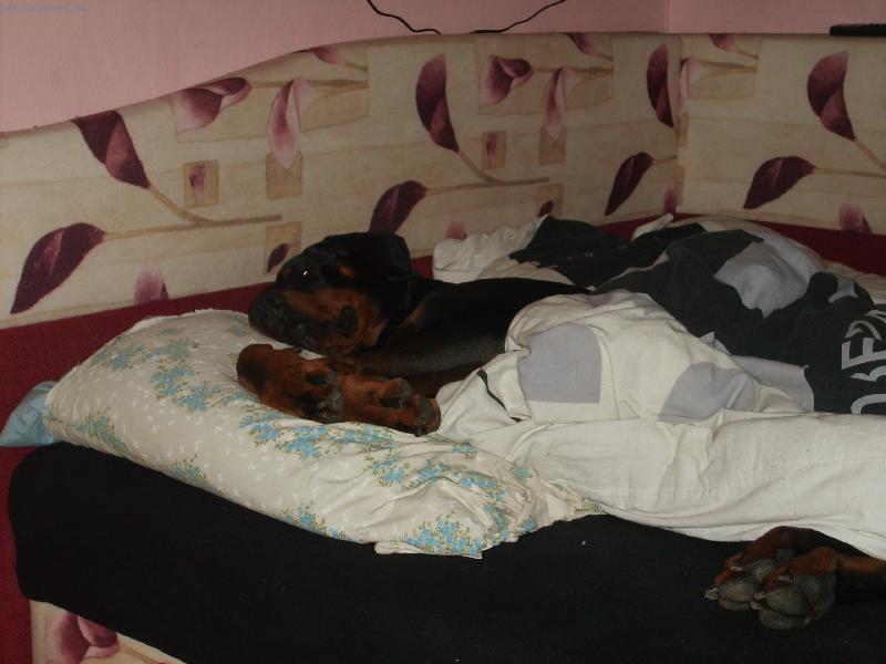 Foto: Sp�c� and�lek:-)