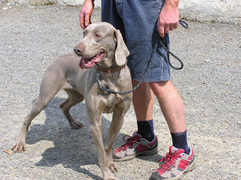 Foto: Sheella-na proch�zce