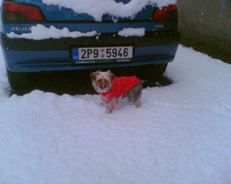 Foto: M�a v zim�