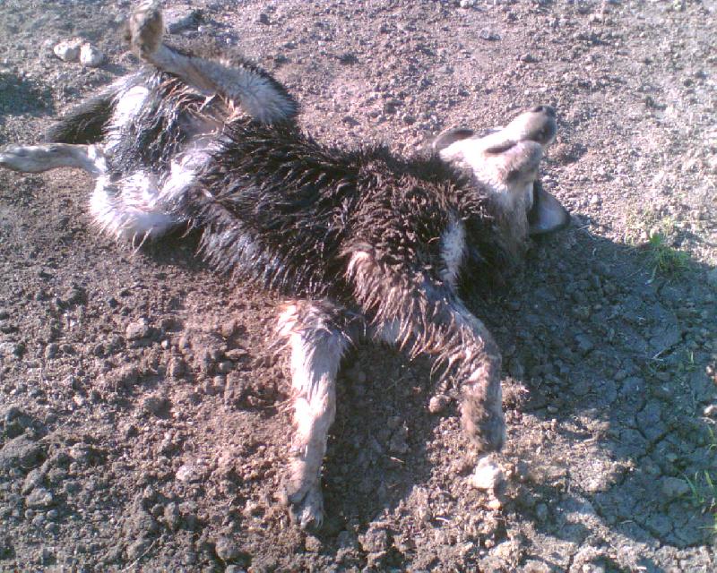 Foto: Akim v hl�n�