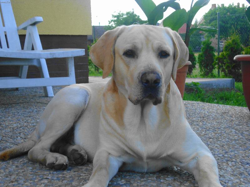 Foto: Max-V�dy ve st�ehu!!!