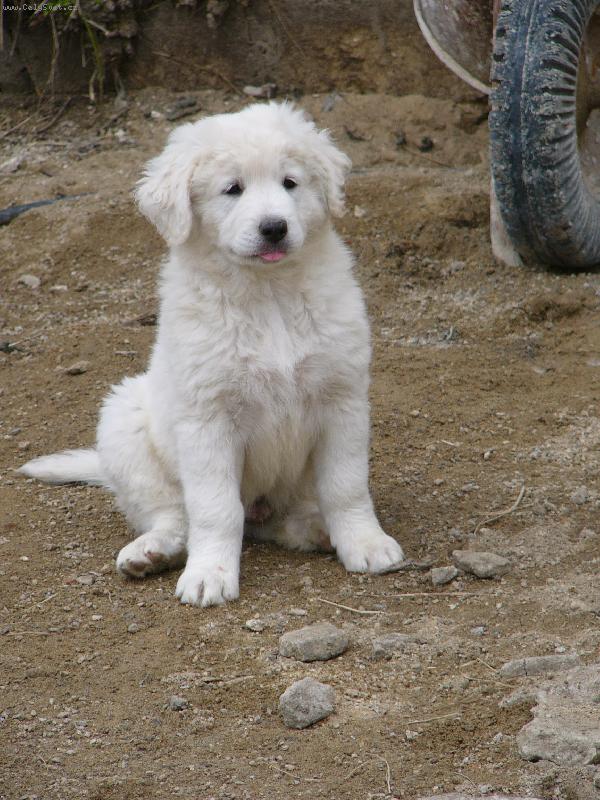 Foto: Andy od �ertova kop�tka