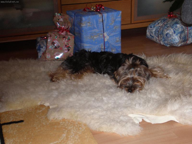 Foto: NEJKR�SN�J�� D�REK