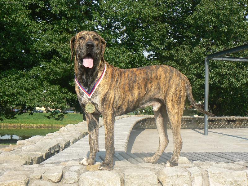 Foto: Amor z Berchtoldova rodu