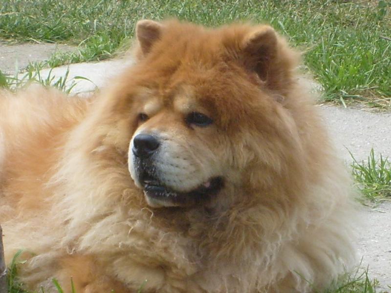 Foto: Ustora Haltrava