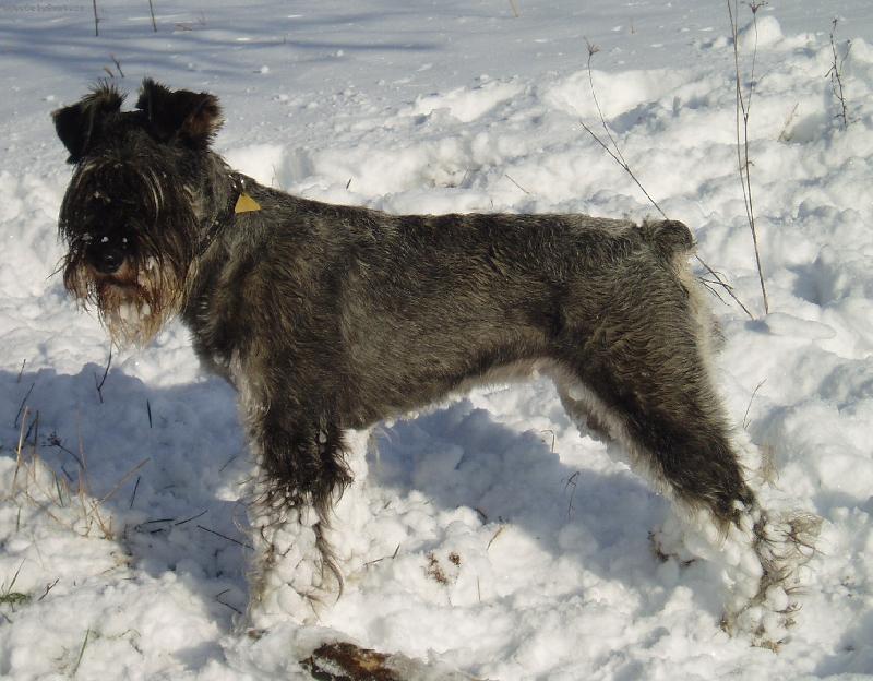 Foto: Cherry-P�kn� ba�k�rky