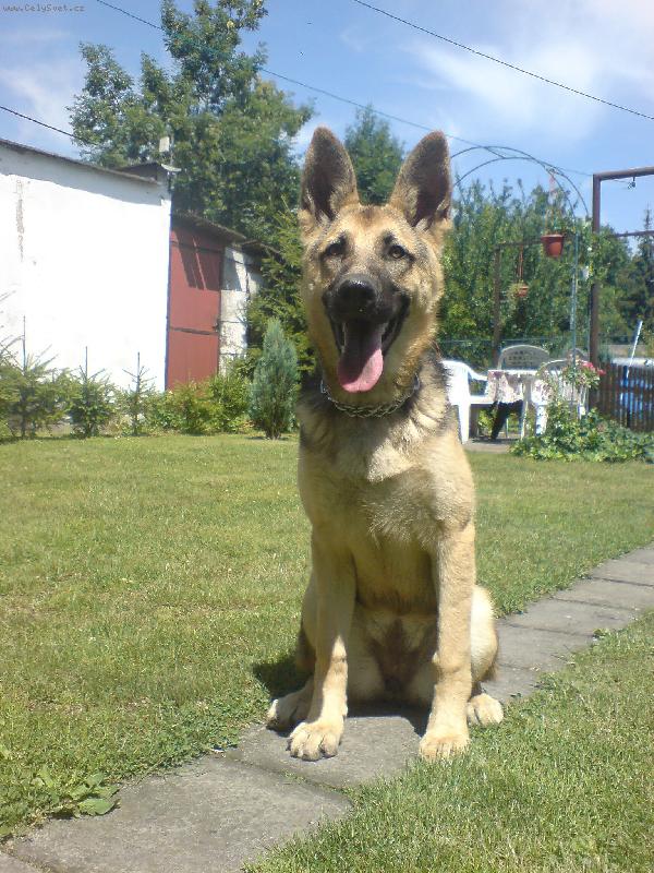 Foto: Modelka Whisky :o)