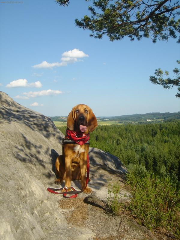 Foto: kousek od nebe