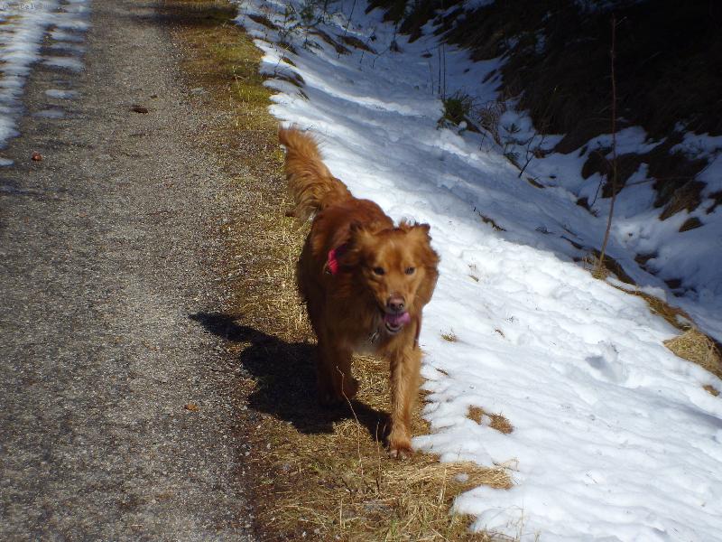 Foto: na �t�ku :-)