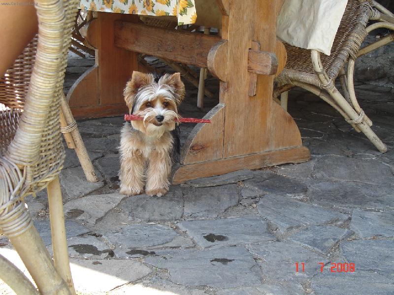 Foto: Lady - dovo-na dovolen�