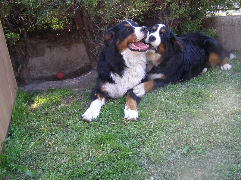 Foto: Max a jeho l�ska