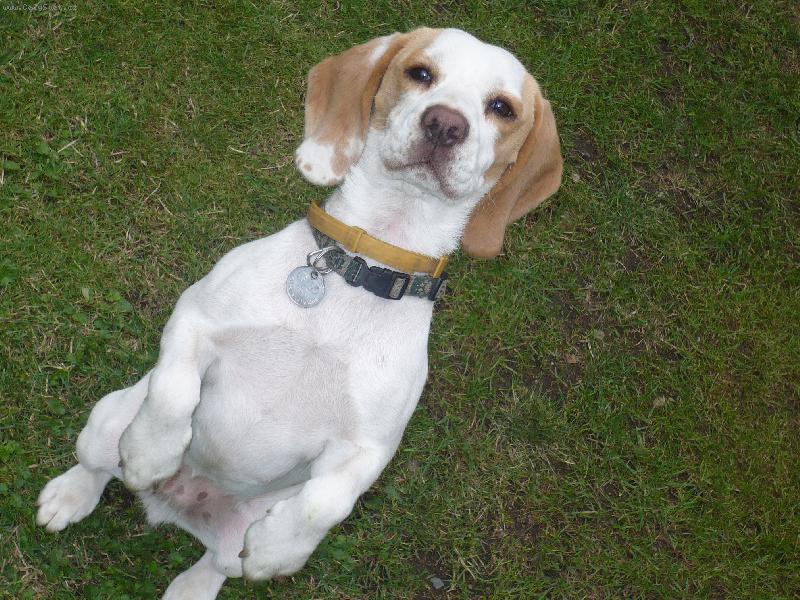 Foto: Meg�-Pros�m o pamlsek.. .. ..