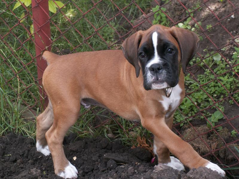 Foto: na vrcholu kopce :)