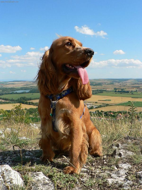 Foto: P�za na v�let�