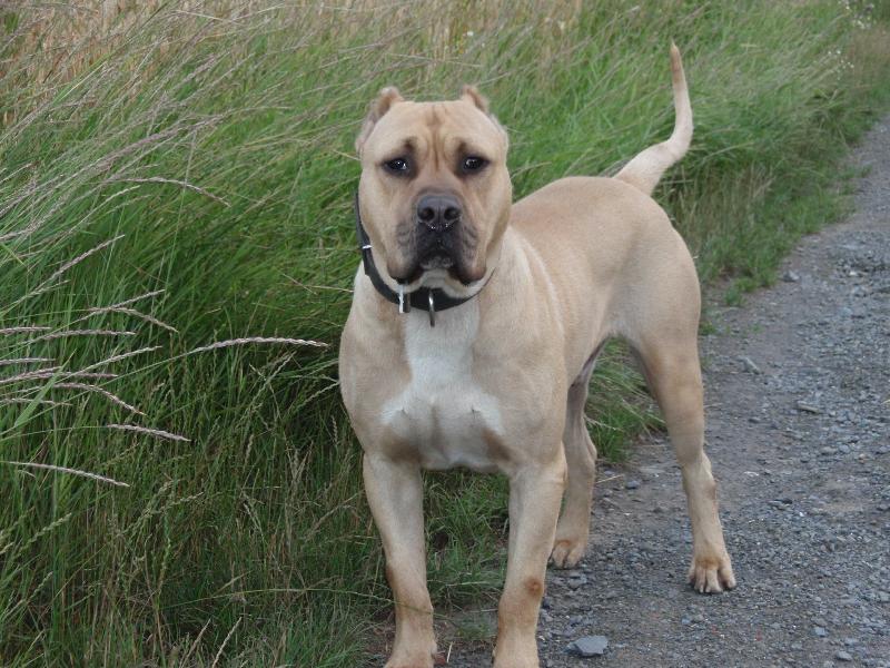 Foto: Rony-30 m�s�c�