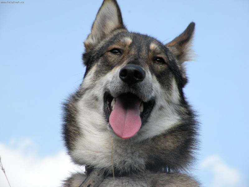 Foto: Charon od katova m�stku-Charon