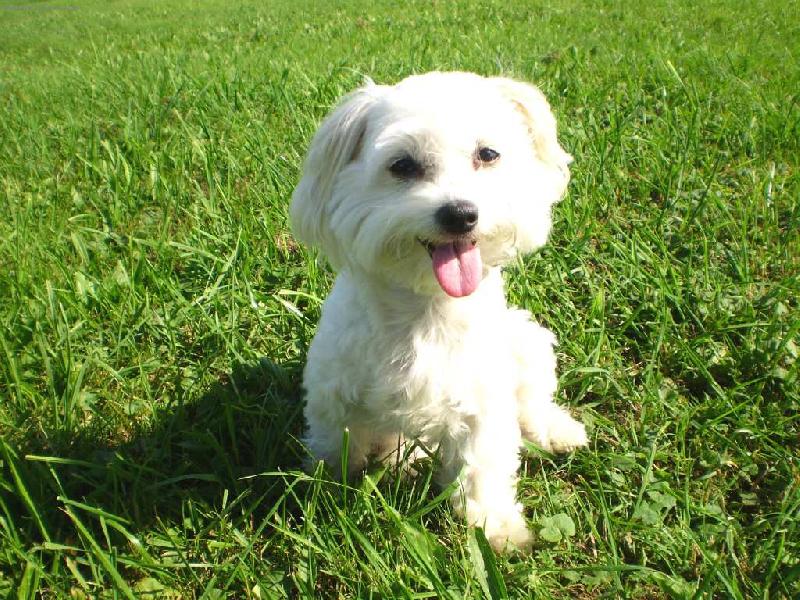 Foto: hork� l�to