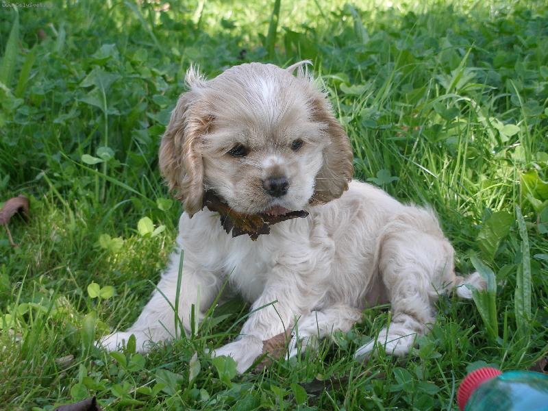 Foto: ella-na proch�zce