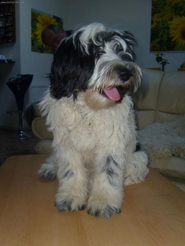 Foto: sle�na B�ra