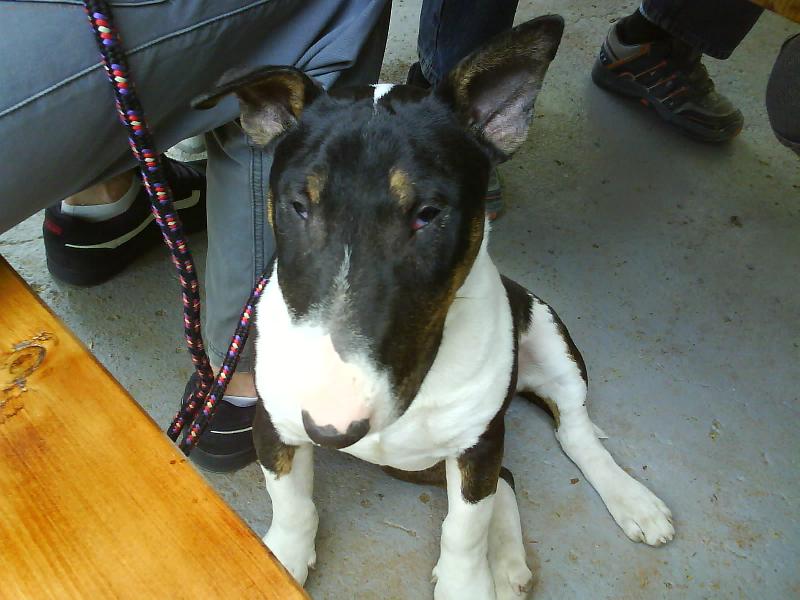 Foto: Sarko-Chudinka......:))