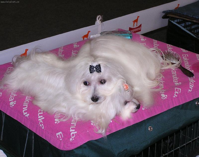 Foto: Debi a Fred-Na jedn� v�stav�