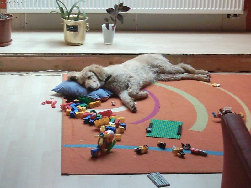 Foto: Maya-trochu si schrupnu