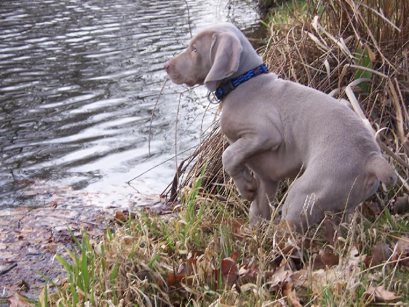 Foto: Caesar-Chytr� kluk