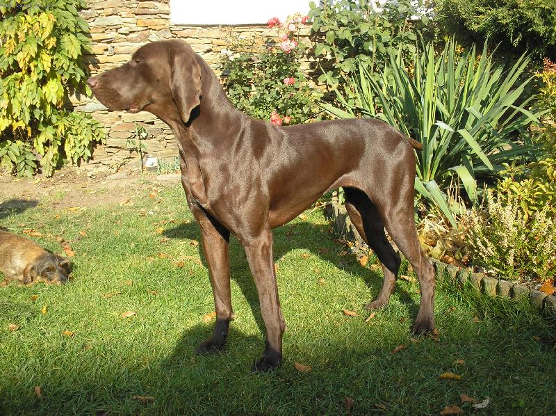 Foto: Odeta z �esk�ho lesa