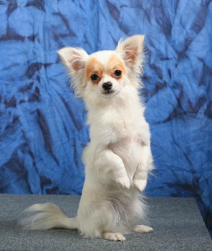 Foto: j� jsem zaj��ek u���ek