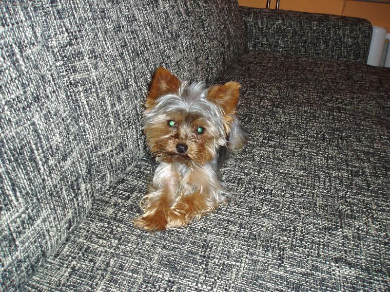 Foto: mil��ek Rufus