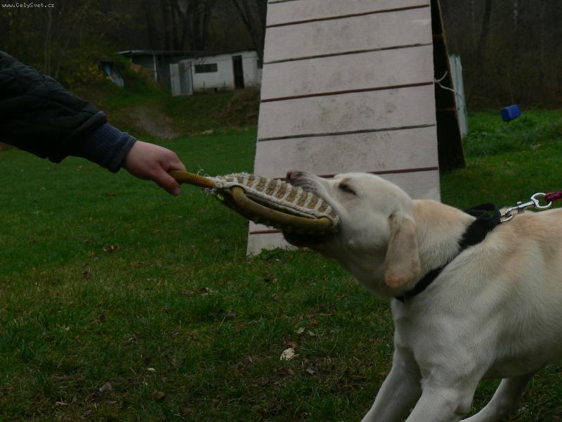 Foto: Ron-Obran��