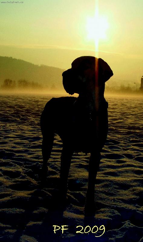 Foto: kr�sn� v�noce v�em