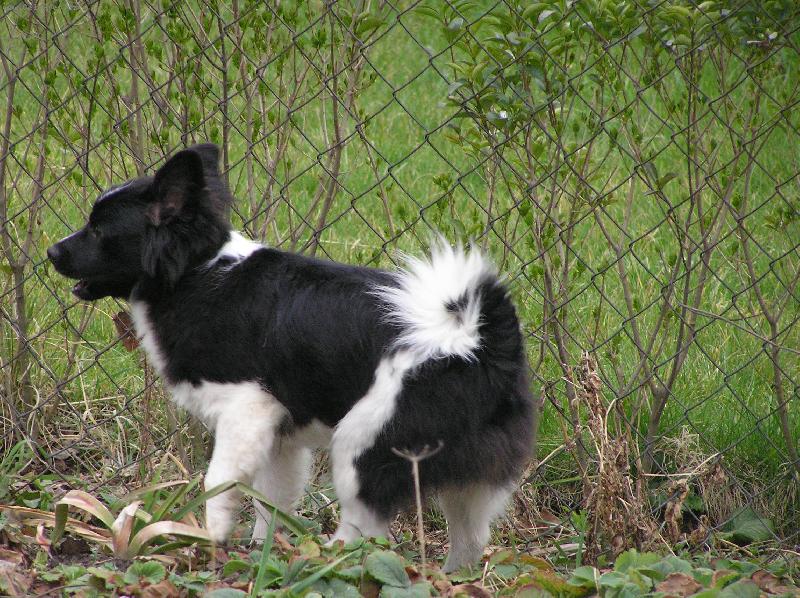 Foto: Roxana-n� dom�c� mazel sle�na Roxana :-)