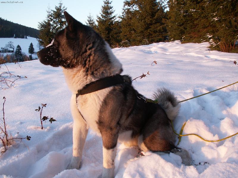 Foto: Akim-Silvestrovsk� v�let