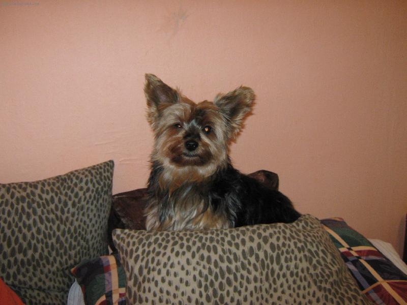 Foto: Aki-Aki jm�no m�