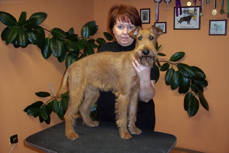 Foto: �prava p�ed v�stavou